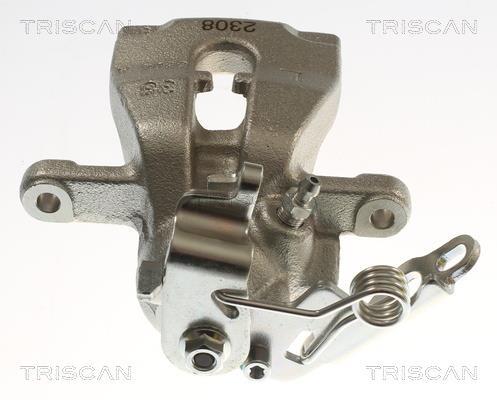 Pinza de freno Triscan A/S ref. 8175 16216