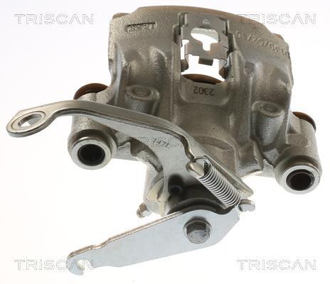 Pinza de freno Triscan A/S ref. 8175 16219