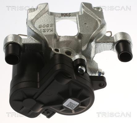 Pinza de freno Triscan A/S ref. 8175 16221