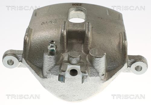 Étrier de frein Triscan A/S ref. 8175 17103