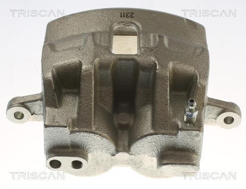 Pinza de freno Triscan A/S ref. 8175 17105