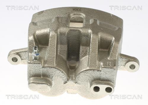 Pinça de travão Triscan A/S ref. 8175 17106
