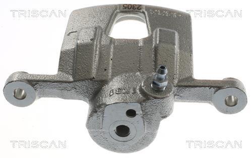 Pinza de freno Triscan A/S ref. 8175 21201