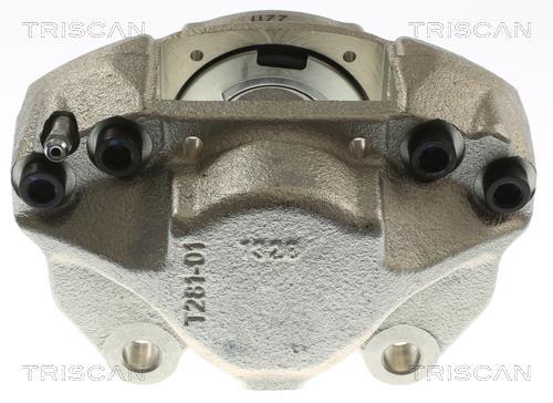 Pinza de freno Triscan A/S ref. 8175 23105