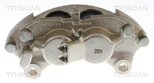 Pinza de freno Triscan A/S ref. 8175 23113