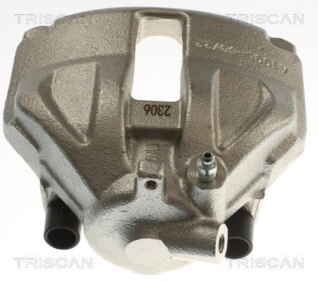 Pinza de freno Triscan A/S ref. 8175 23132