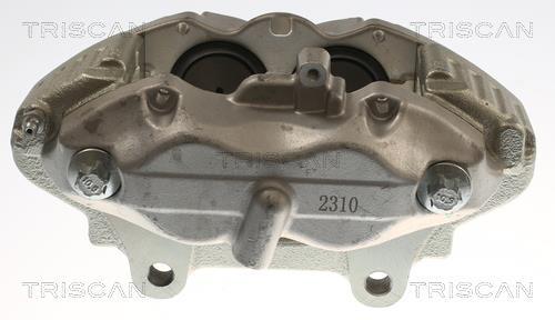 Pinza de freno Triscan A/S ref. 8175 23146