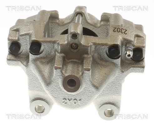 Pinza de freno Triscan A/S ref. 8175 23207