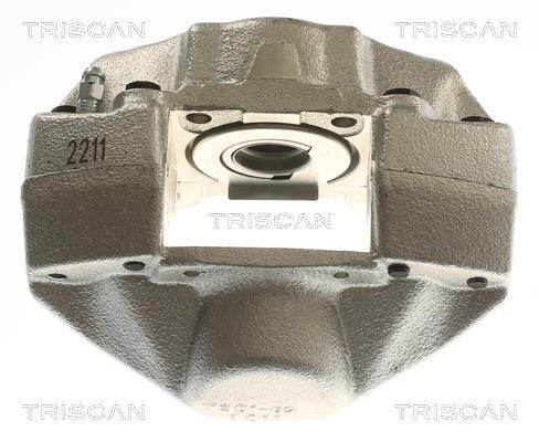 Pinza de freno Triscan A/S ref. 8175 23213