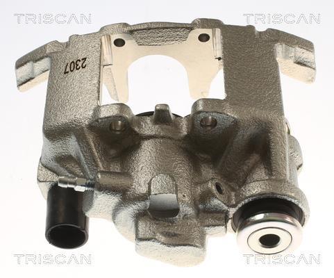 Pinza de freno Triscan A/S ref. 8175 23226