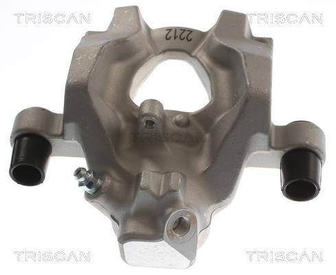 Pinza de freno Triscan A/S ref. 8175 23244