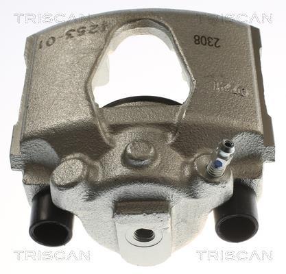 Pinza de freno Triscan A/S ref. 8175 24108