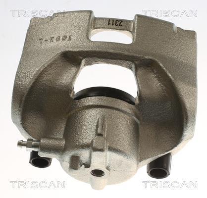 Étrier de frein Triscan A/S ref. 8175 24113