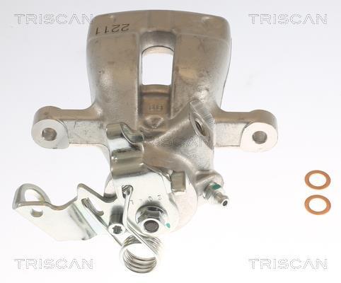 Pinza de freno Triscan A/S ref. 8175 24201