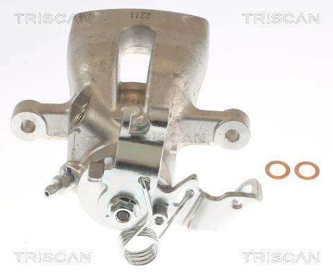 Pinza de freno Triscan A/S ref. 8175 24206