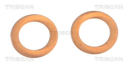 Pinza de freno Triscan A/S ref. 8175 24209