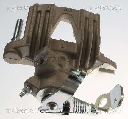 Pinza de freno Triscan A/S ref. 8175 24220