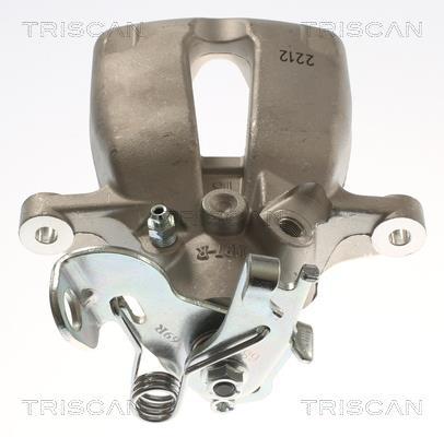 Pinza de freno Triscan A/S ref. 8175 24238