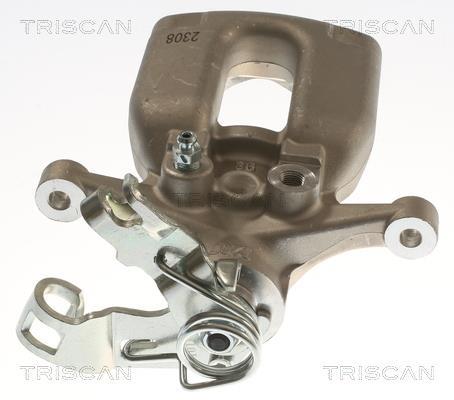 Pinza de freno Triscan A/S ref. 8175 24246