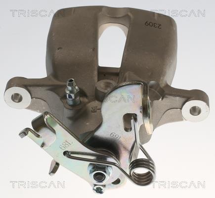 Pinza de freno Triscan A/S ref. 8175 24254