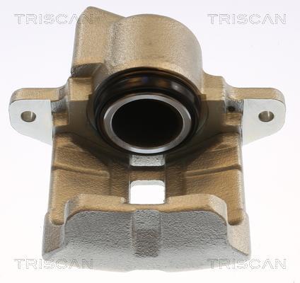 Étrier de frein Triscan A/S ref. 8175 25101