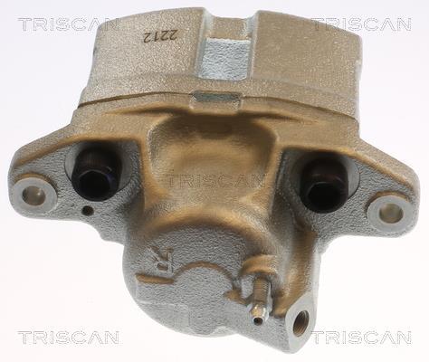 Pinza de freno Triscan A/S ref. 8175 25102
