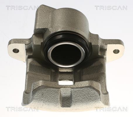 Étrier de frein Triscan A/S ref. 8175 25103