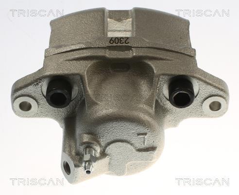 Étrier de frein Triscan A/S ref. 8175 25103