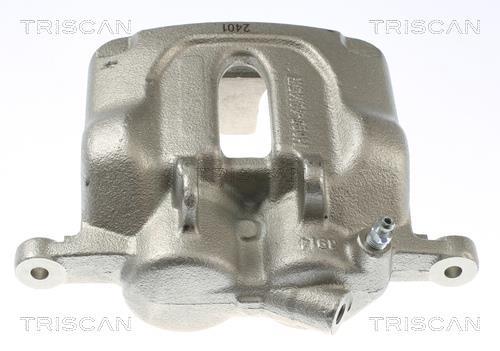Pinza de freno Triscan A/S ref. 8175 25108