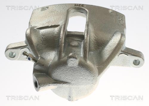 Pinza de freno Triscan A/S ref. 8175 25109