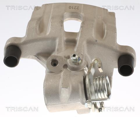 Pinza de freno Triscan A/S ref. 8175 25201