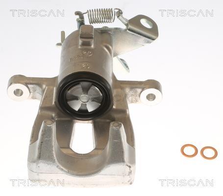 Étrier de frein Triscan A/S ref. 8175 25203
