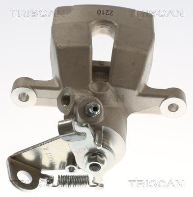 Pinza de freno Triscan A/S ref. 8175 25208