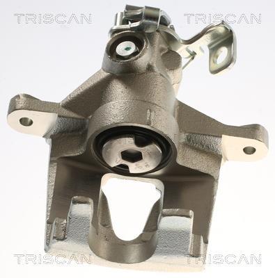 Étrier de frein Triscan A/S ref. 8175 25213