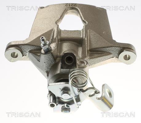 Étrier de frein Triscan A/S ref. 8175 25213