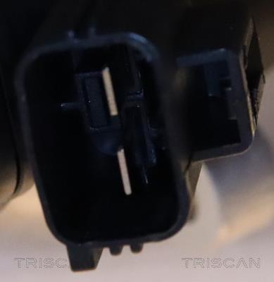 Étrier de frein Triscan A/S ref. 8175 25221