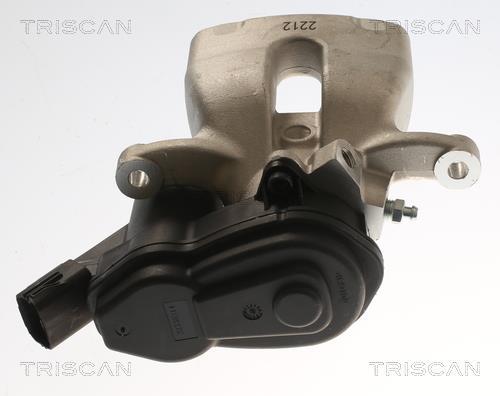 Étrier de frein Triscan A/S ref. 8175 25221