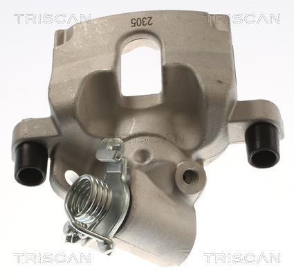 Pinza de freno Triscan A/S ref. 8175 25226