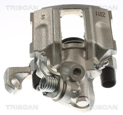 Pinza de freno Triscan A/S ref. 8175 27213
