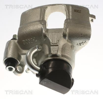 Pinza de freno Triscan A/S ref. 8175 28111