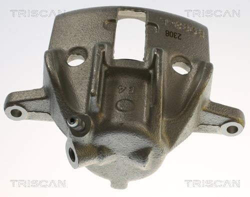 Pinza de freno Triscan A/S ref. 8175 28115