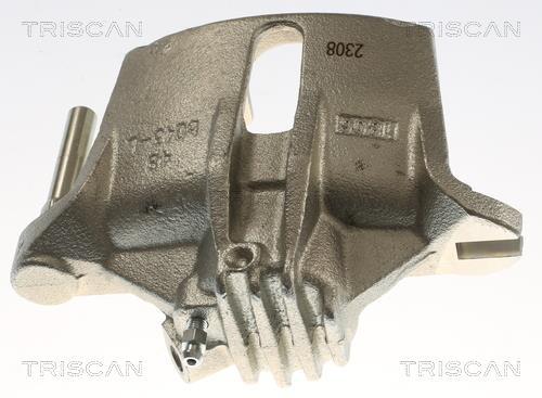 Pinza de freno Triscan A/S ref. 8175 28117