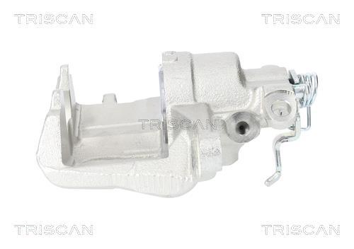 Pinza de freno Triscan A/S ref. 8175 28124