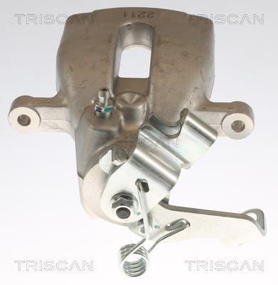 Pinza de freno Triscan A/S ref. 8175 28208