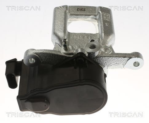 Pinza de freno Triscan A/S ref. 8175 28236