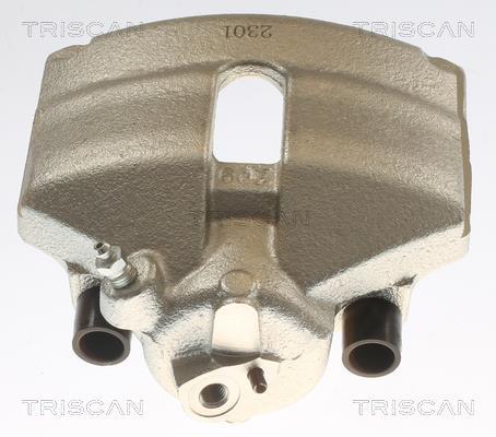 Pinza de freno Triscan A/S ref. 8175 29101
