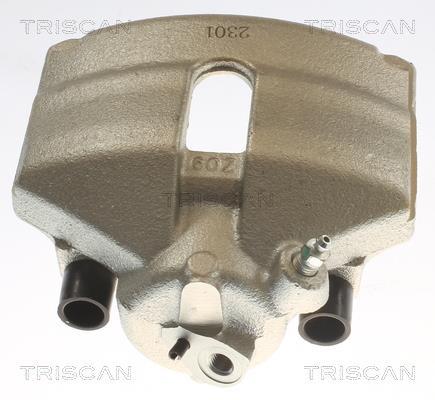 Pinza de freno Triscan A/S ref. 8175 29102
