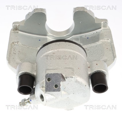 Pinza de freno Triscan A/S ref. 8175 29103