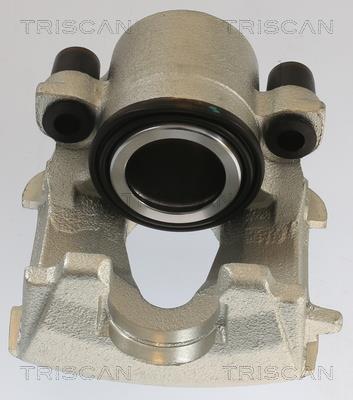 Étrier de frein Triscan A/S ref. 8175 29105