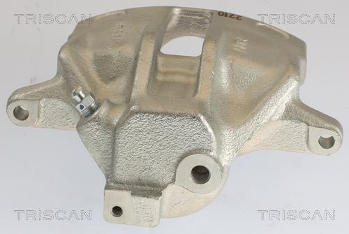Pinza de freno Triscan A/S ref. 8175 29108